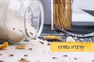 הדברה במרכז