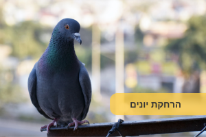 הרחקת יונים