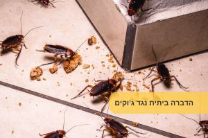 הדברה ביתית נגד ג'וקים