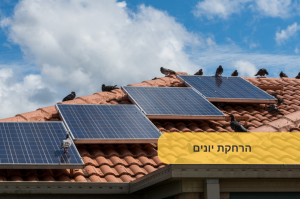 הרחקת יונים