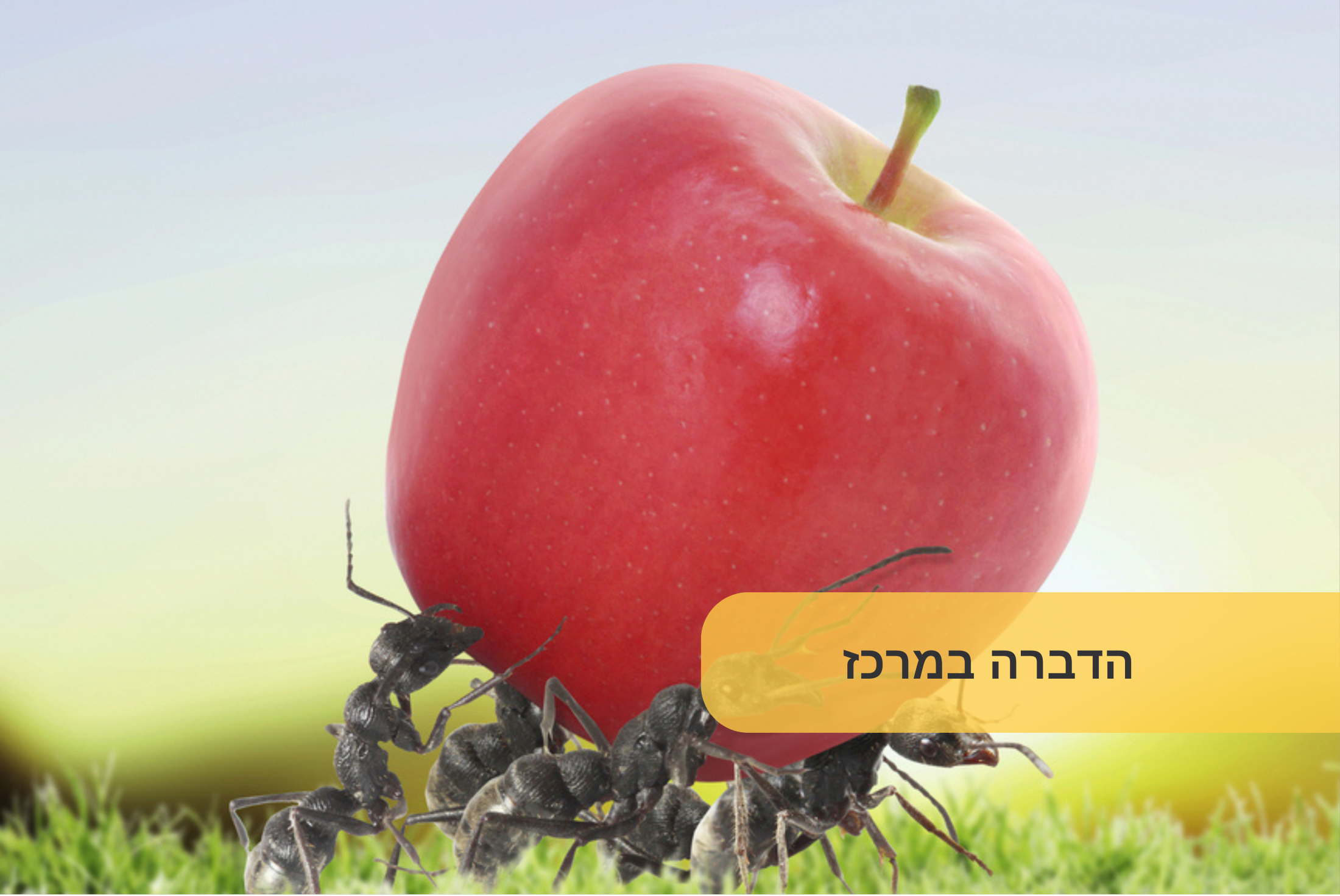 הדברה במרכז